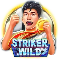 Striker Wild game icon